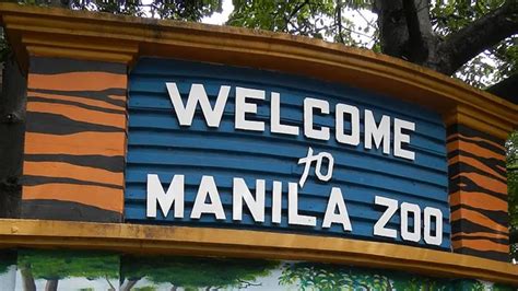 Comprehensive Guide to Manila Zoo: A Must.